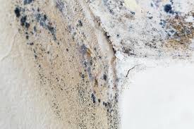 Best Residential Mold Inspection & Testing  in Eastlake, OH